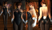 Kasumi_Bunny_Leotard.jpg