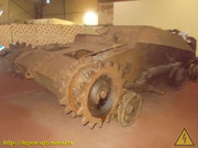 DSCN6551