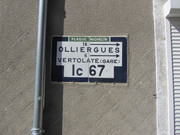 IMG-3272-1.jpg