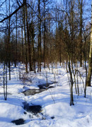 IMG-20230319-WA0005