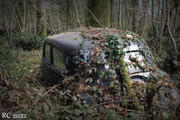 IMG-8545.jpg