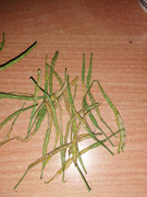 IMG-f49382141a7c75e2b1b7310579b66194-V