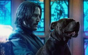 john-wick-chapter-3-parabellum-2019-4k-8