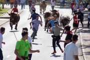 IMG-0491
