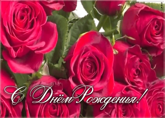 https://i.postimg.cc/7h014Fb6/prazdnichnaya-otkrytka-s-dnem-rozhdeniya-zhenshchine-372.gif