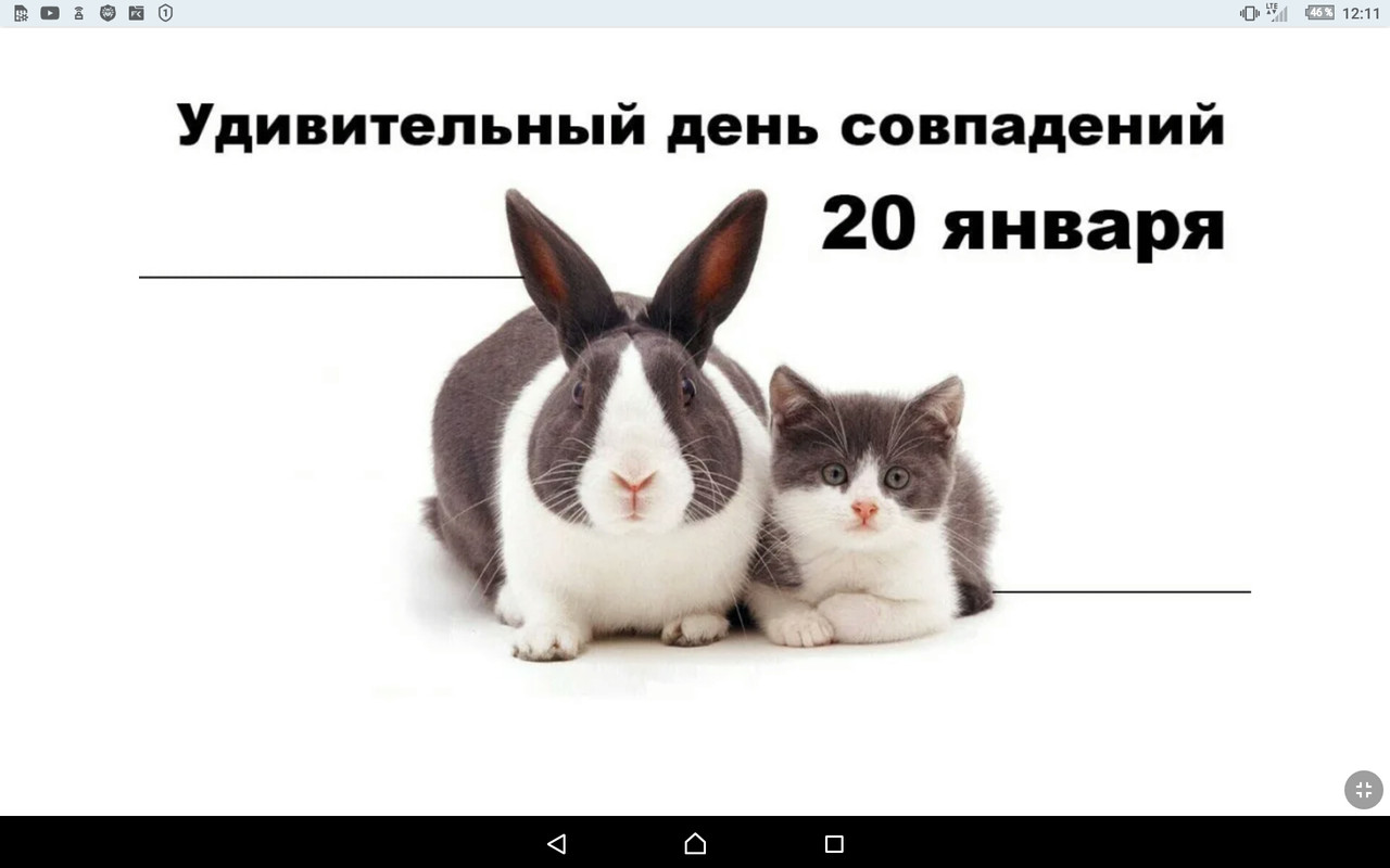 Screenshot_2023-01-20-12-11-19