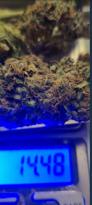 Screenshot_20251022_205812_Chrome