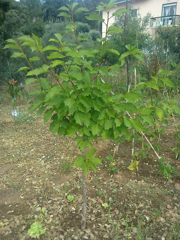 foto0153