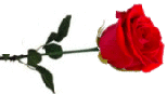 tumblr-pqw2wq-Bj-Oo1wv570go1-250.gif