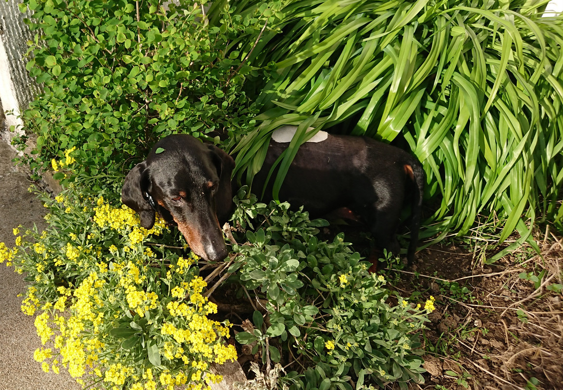 [Image: 20220416-220951.jpg]