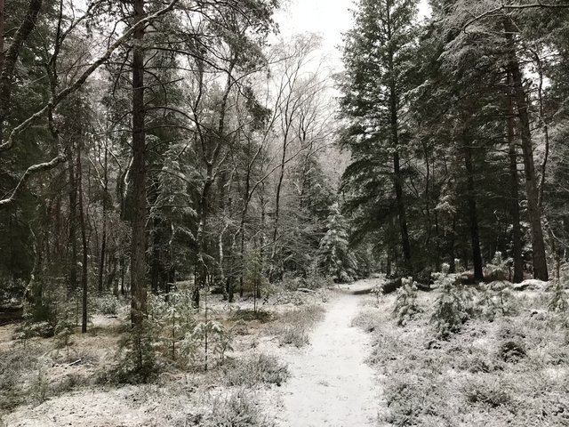 [Image: 45-AAEC72-F79-E-426-B-B5-B1-4-BCF5-E48-F798.jpg]