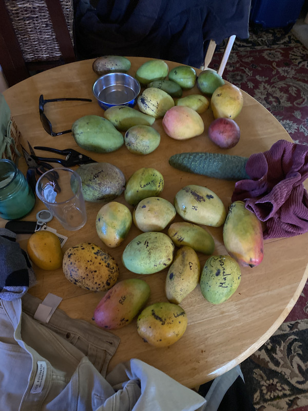 D28FF192-F920-4547-83CE-9A95A8B36A2B