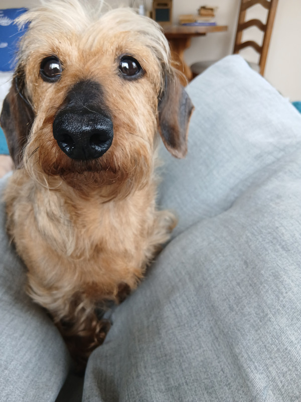 [Image: IMG-20250503-064425.jpg]