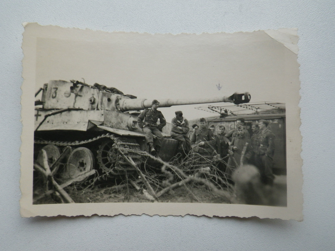 нем тигр 310301