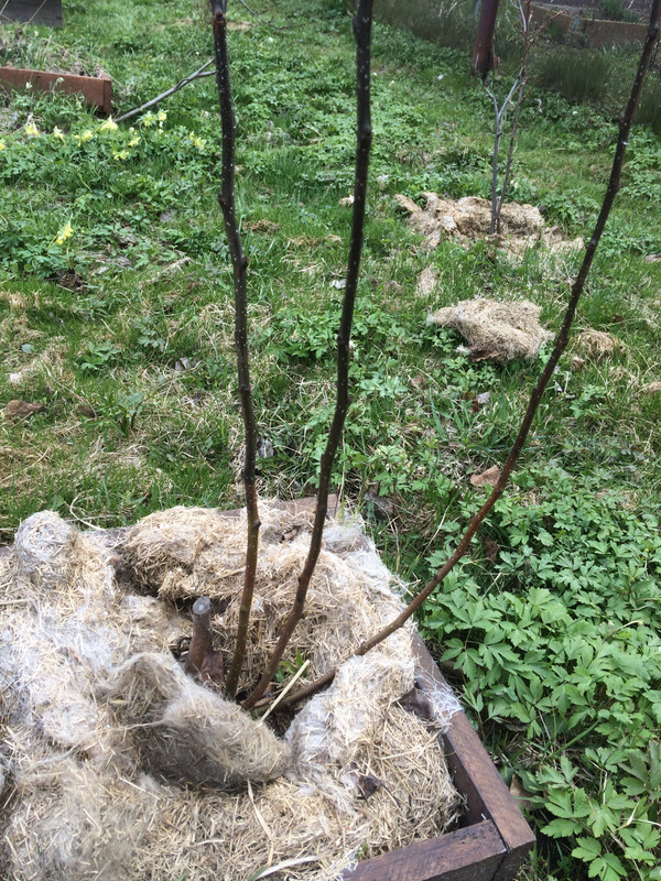 D0D157F2-C63B-442B-A420-FC843EDAD2A3