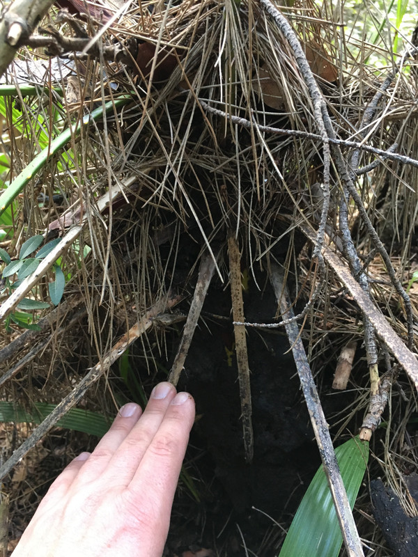 4DC0C100-6D85-411C-B246-451AC9F921F2