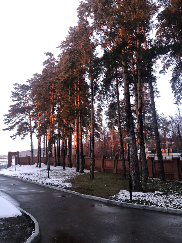 F638A45D-3BD2-4071-BF65-F3AE48DB89DF