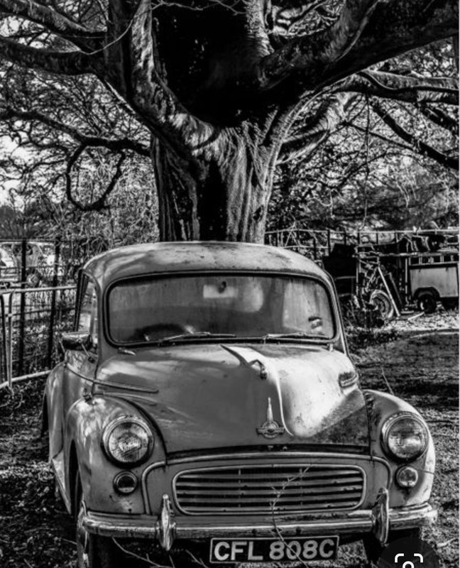 Screenshot_20230329_210441_Pinterest