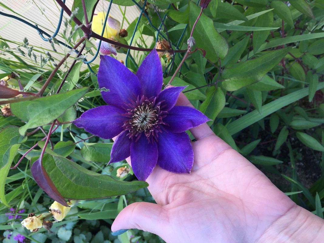 56329E3D-BDF7-4AB0-A88C-ACA0C9D2F12D