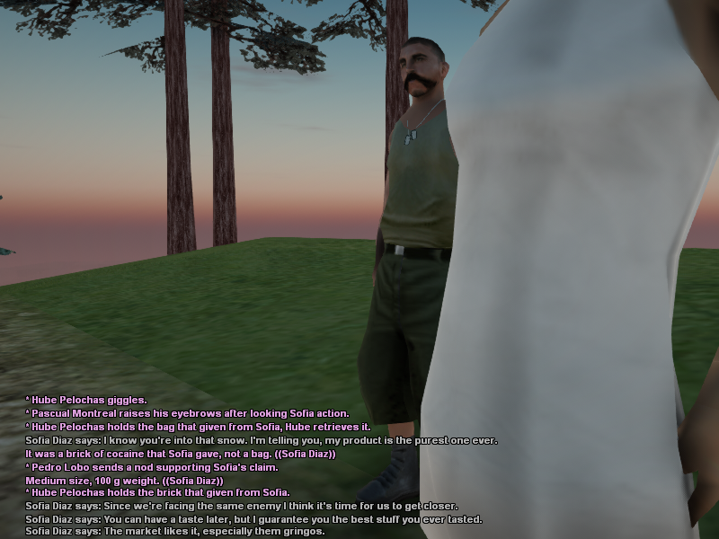 SSRoleplay714.png
