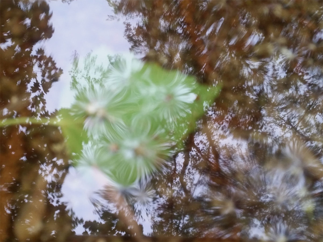 y20180429_102509