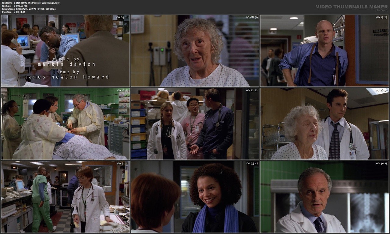 ER S06E06 The Peace of Wild Things.mkv