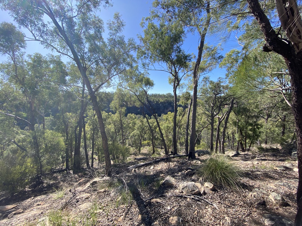 2022 (Jun) - Central (Nth) Qld Solo Trip(web) (102)