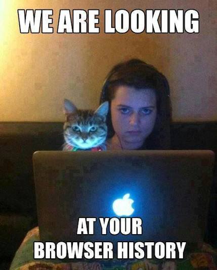 Funny-Memes-your-browser-history.jpg