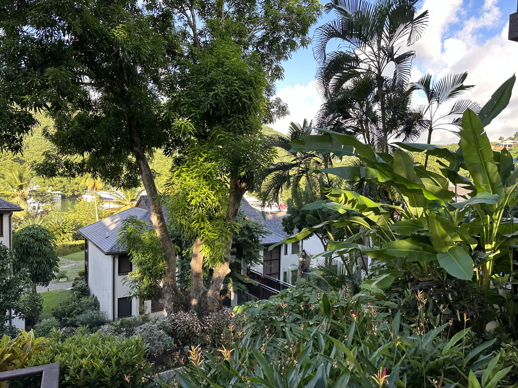 5C027EB6-5409-4211-9EF0-2F45A81B8DF8