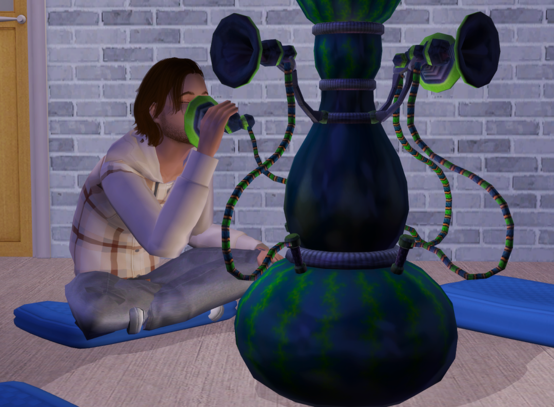 Sims2-EP9-RPC-2024-02-25-21-01-03-89