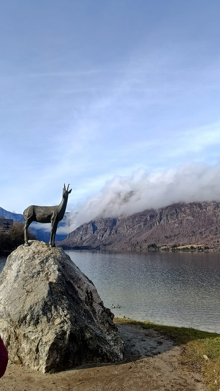 414482955_1577732213031371_5504647944793931359_n (1)