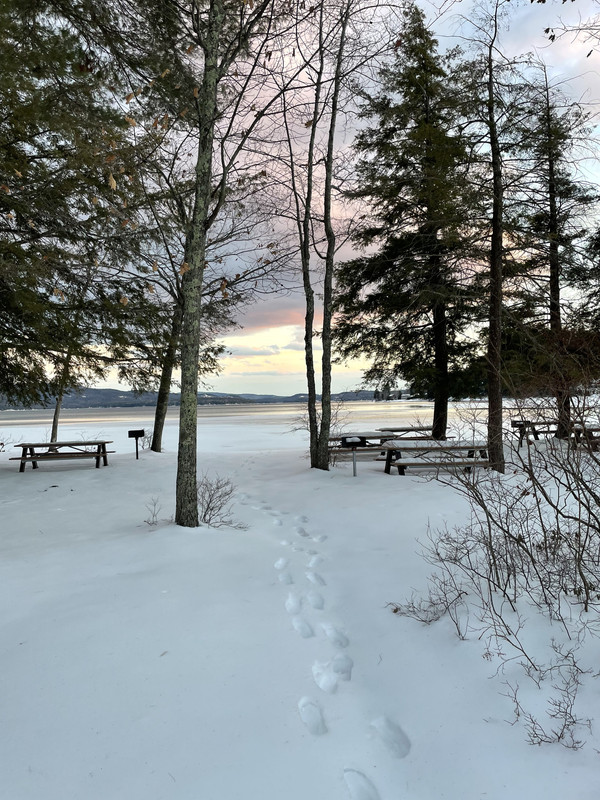 37242C99-EF20-4397-B732-835CC9A77861