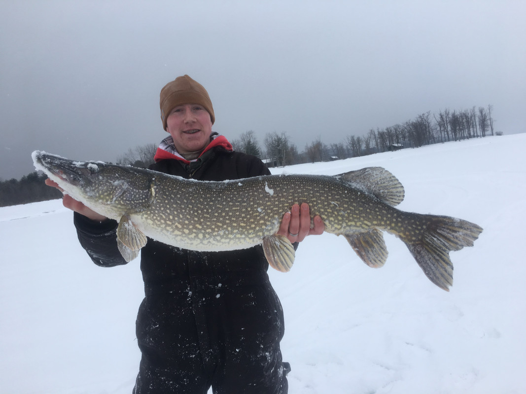 B19E1AD9-48F2-42F7-9F61-74CBBA9FA063