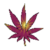 pot leaf spin
