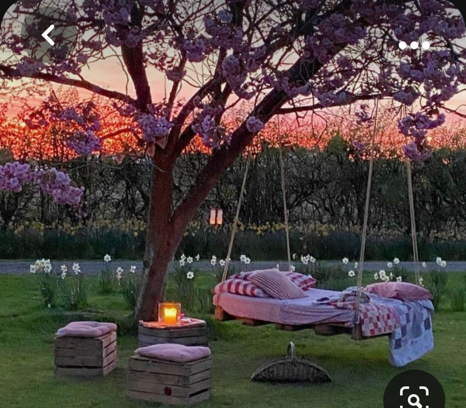 Screenshot_20231024_192845_Pinterest