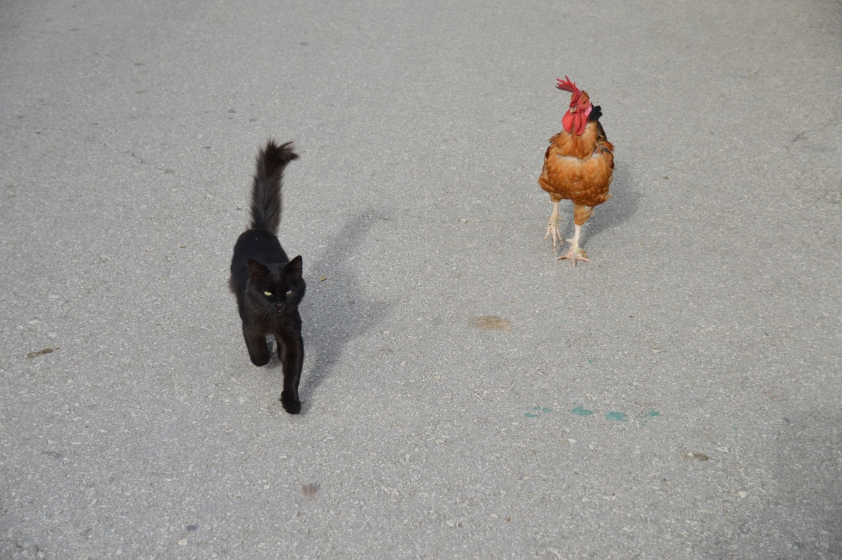 GcUYmUAtoB-w0D_mb4ECjUwoAwrfUSS-hvjKgtoKM_9oFziciZe5JAup0DLRjgdVupy1N2VyCKb6qSTeTttCKYCA