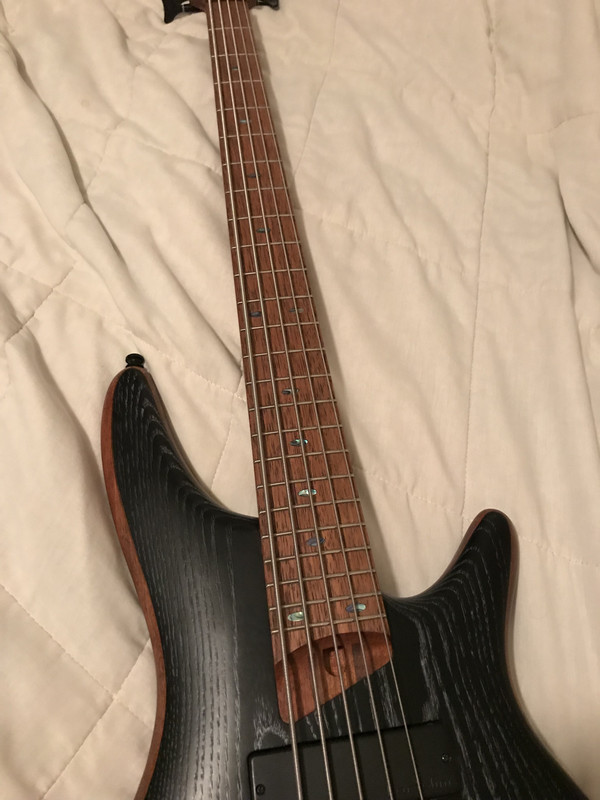 81BF0097-66BE-4F79-B1DE-4CB36061FBAD