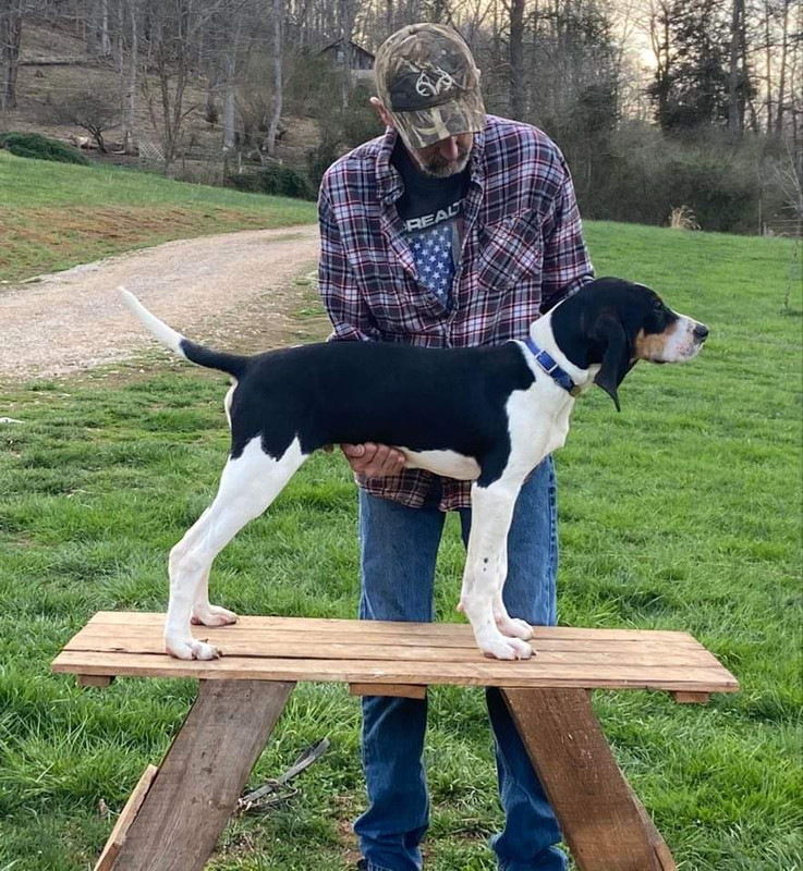 7A247C8D-2929-4ED1-9557-D82AFA1562C6