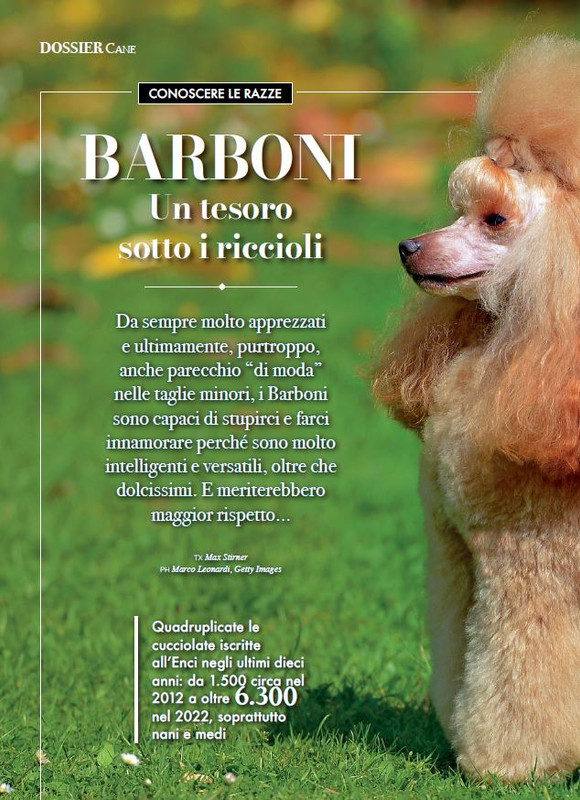 Argos Ago-Set 2023 (3)