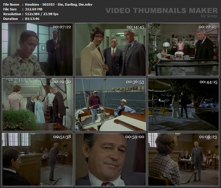 Hawkins - S01E03 - Die, Darling, Die.mkv