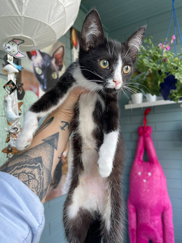 A72F1F6F-70A8-4D18-AF4E-1DD0F1130CA2