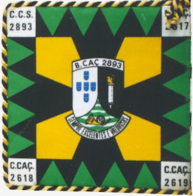 BCac2893