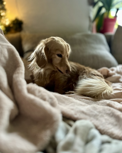 [Image: IMG-0083.jpg]