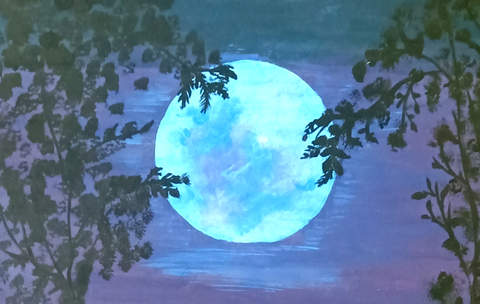 Full moon night