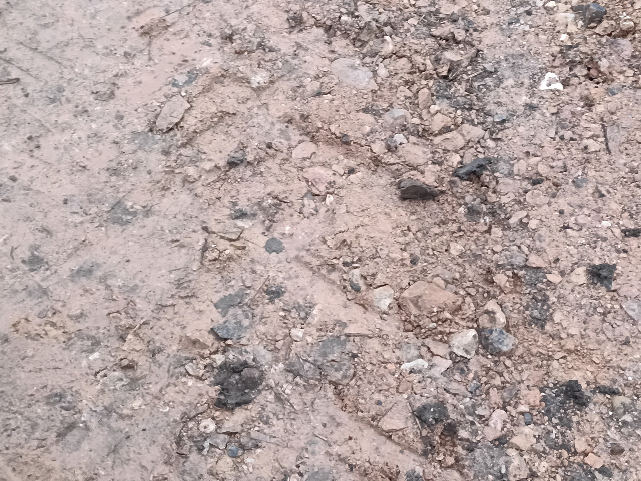 IMG 20251207 152834 936