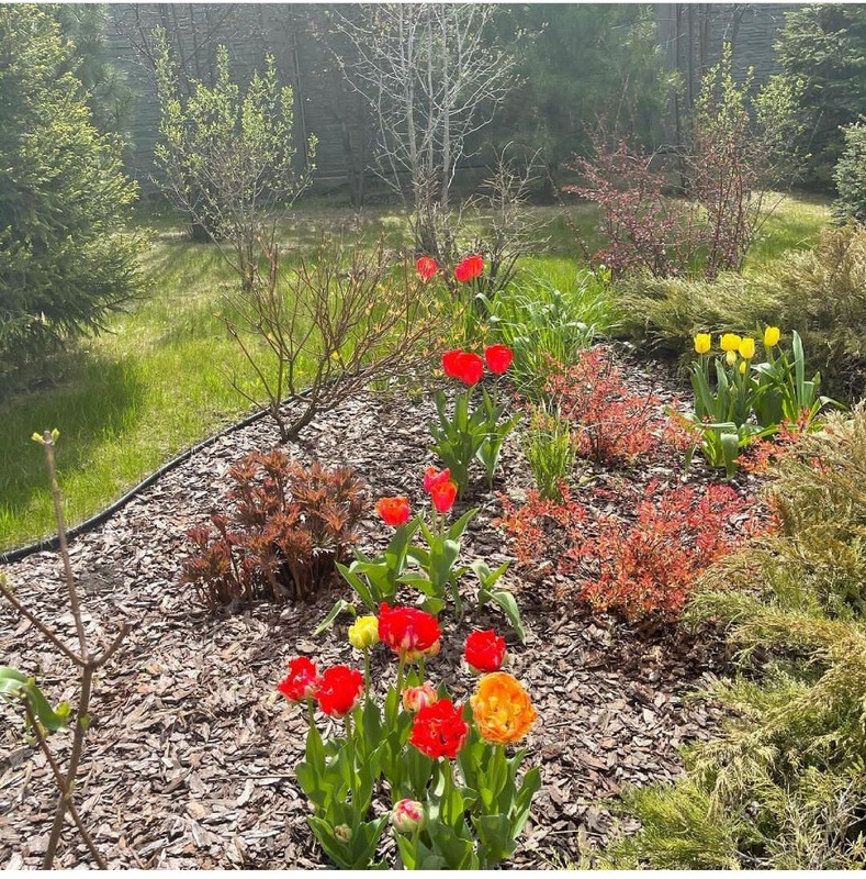 IMG_20230214_205545_035