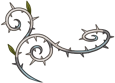 Curl-Top-Left