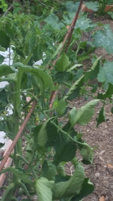 WhatsApp Image 2020-05-21 at 21.54.35 (1)