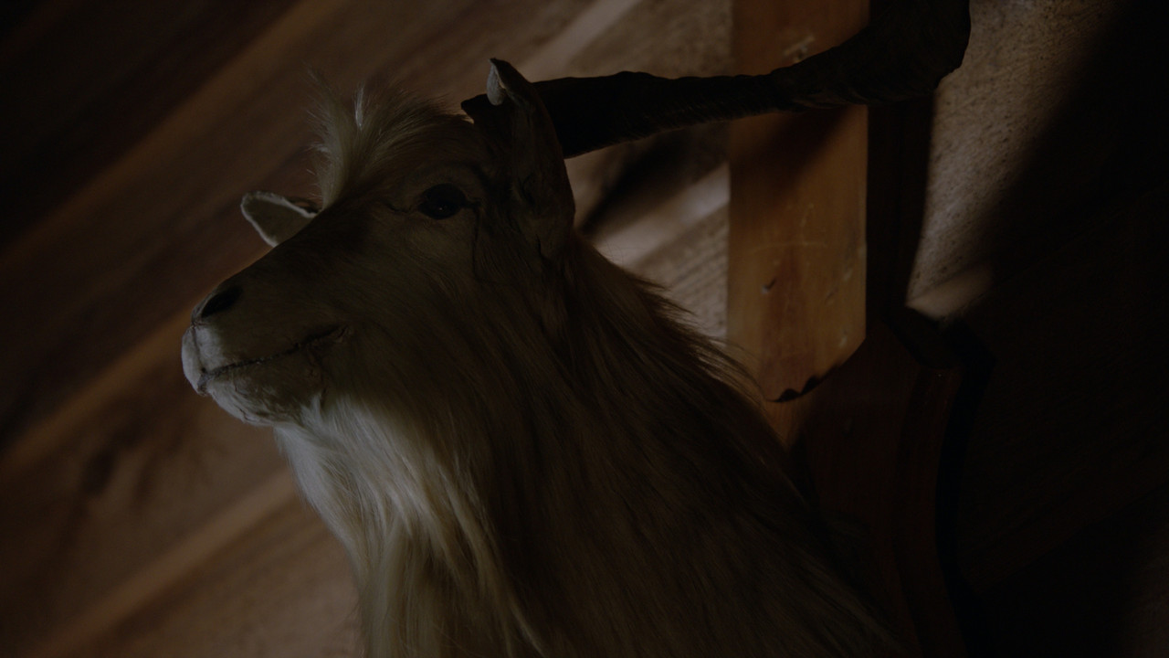 cult.of.chucky.2017.unrated.extended.cut.4kdv-kc.mkv_snapshot_00.02.57.469