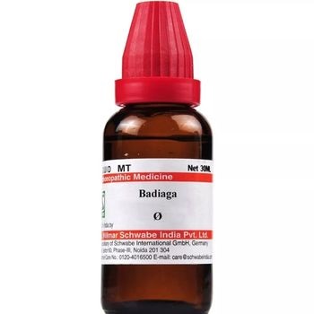 Willmar Schwabe India Badiaga 1X (Q) (30ml)